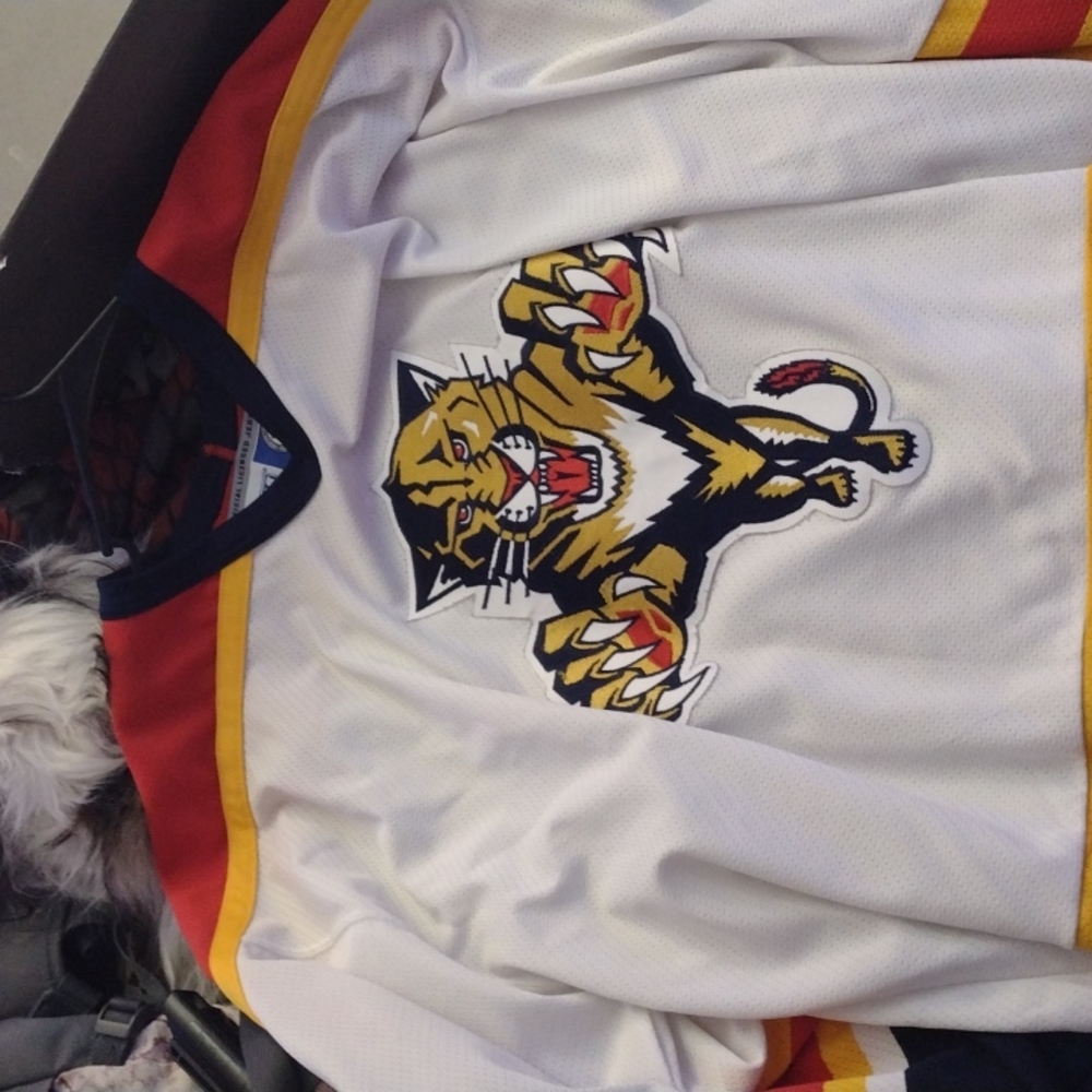 Florida Panthers Jersey